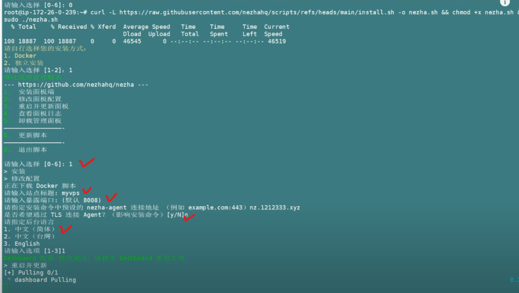 哪吒探针 v1 新版教程 哪吒探针 v1 新版教程