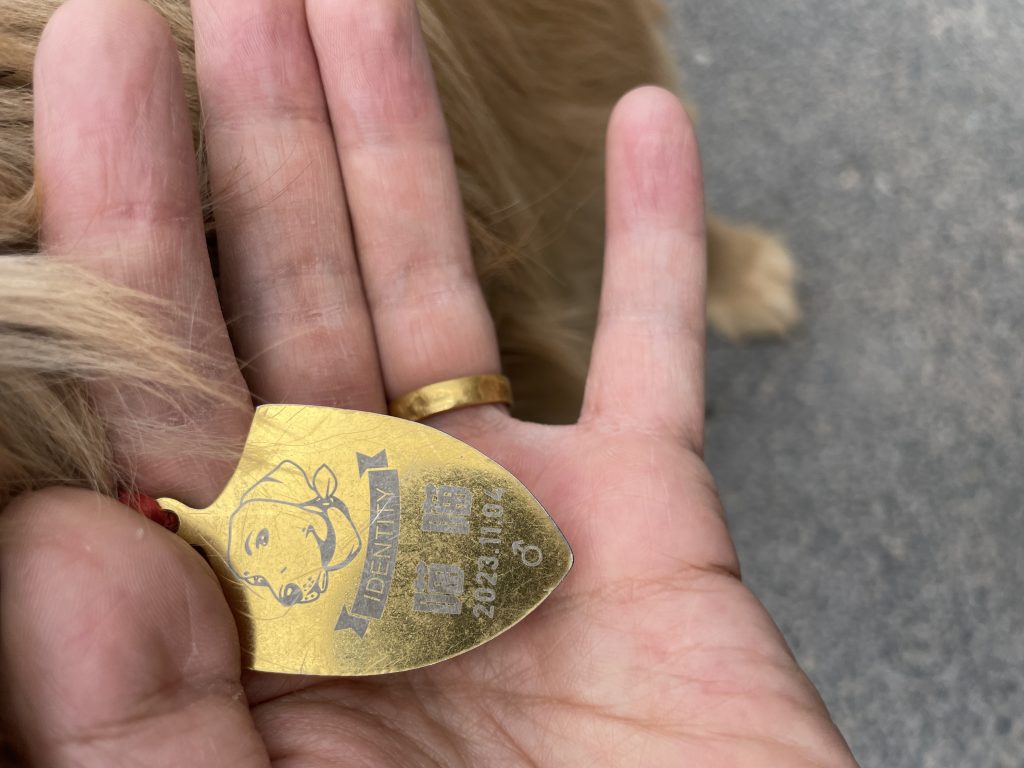 遛别人家的狗狗