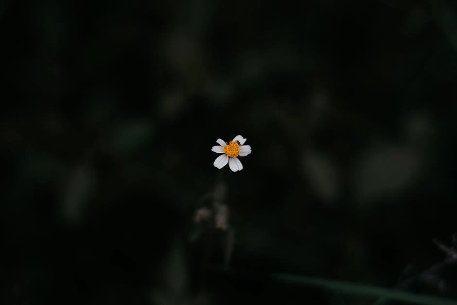 相机光圈(Av)和快门优先(Tv),分别适合什么场景,怎么选择? 相机光圈(Av)和快门优先(Tv),分别适合什么场景,怎么选择?
